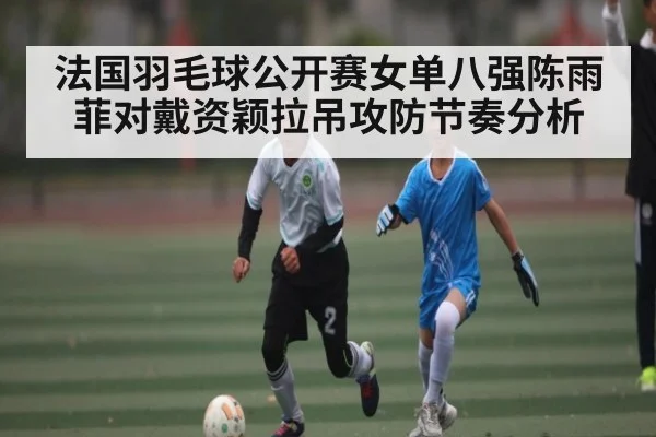 法国羽毛球公开赛女单八强陈雨菲对戴资颖拉吊攻防节奏分析
